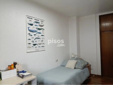 Piso en alquiler en Avenida de Pío XII - Foto 3