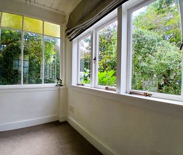 Spacious pet friendly remuera home. - Photo 3