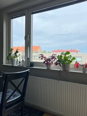 Nordostpassagen, Göteborg - Photo 1