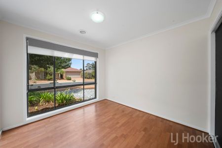 Stylish 4 Bedroom Jerrabomberra House - Photo 3