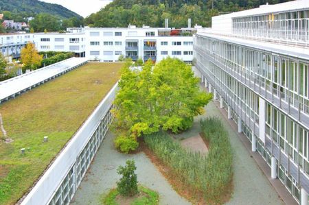 Urban living in the Sihlhof business apartment - Photo 4