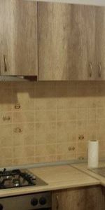 Luxury apartment 1 room for rent Centre Iasi - Photo 3