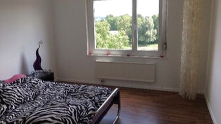 3½ Zimmer-Wohnung in Dübendorf (ZH), möbliert - Photo 2