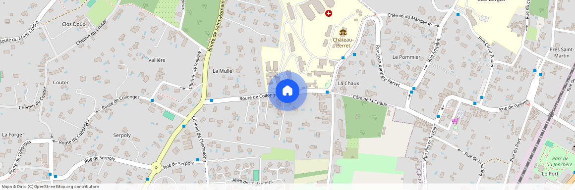 54 ROUTE DE COLLONGES, ST CYR AU MONT D OR, Lyon