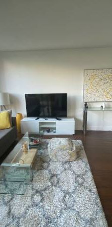 Bright 1Bed+Den Fully Furnished Yaletown apartment - Photo 1