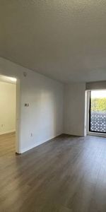 1 Bed 1 Bath - Apartment - Photo 4