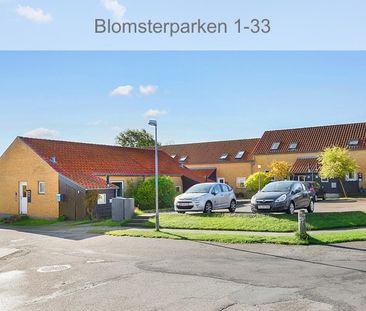 Afd. 22 Blomsterparken - Photo 2