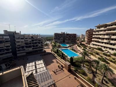 Apartment - Arenales del sol - Photo 2