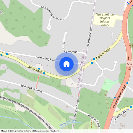 8 Currawong Road, NSW 2305, New Lambton Heights