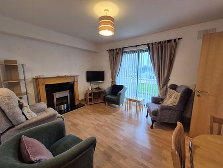 Mizen Court, Marina Village, Arklow, Wicklow - Photo 5