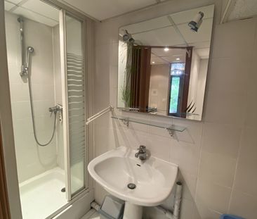 Location Appartement 1 pièce 17m² PALAISEAU 91120 - Photo 4