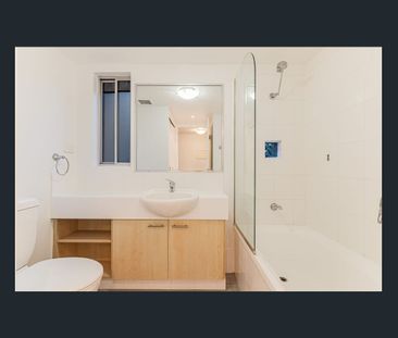 NEWLY Renovated Stunning Large Apartment - Photo 4