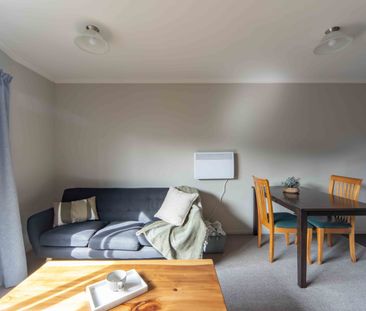 Furnished One Bedroom Apartment - Photo 5