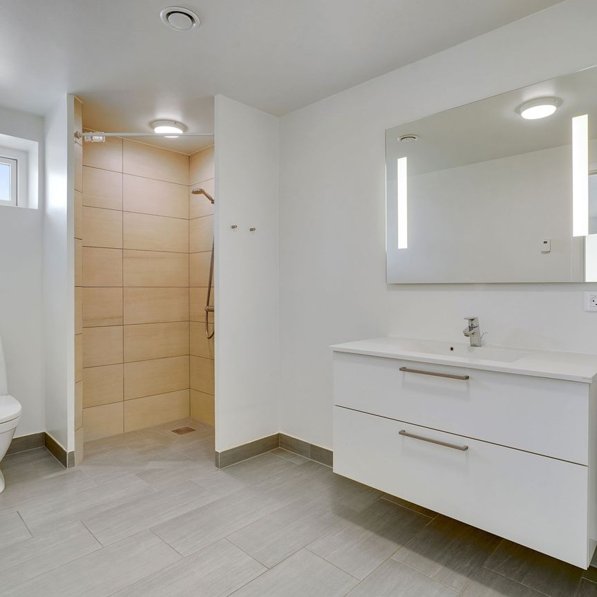 Lejlighed med plads til familien på Langstrømpevej - Photo 1