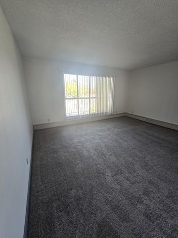 Spacious Two Bedroom unit on South Hill - Photo 4