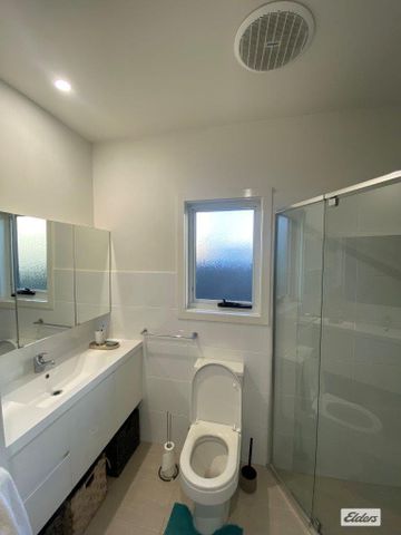 Large freestanding Granny Flat! - Photo 2