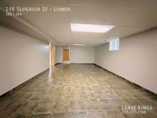 Basement Unit in Prime LaSalle Location! - Photo 1