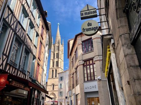 Location Appartement 1 pièce 28m² LIMOGES 87000 - Photo 4