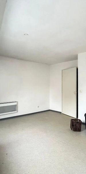 Appartement à louer 1 pièce 18.5m² - Photo 1