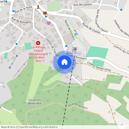 Chemin de Tracuit 37, 3967 Vercorin