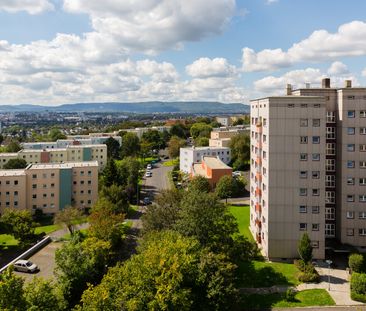 Gemütliche Wohnung in ruhiger Stadtrandlage - kurzfristig frei - Foto 1