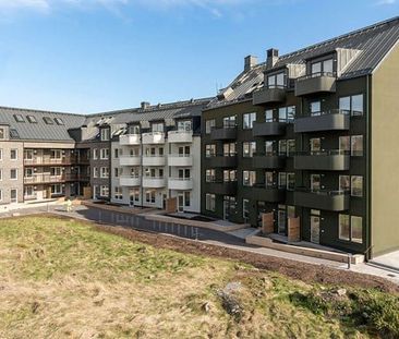 Unnas väg, Bro - Foto 1