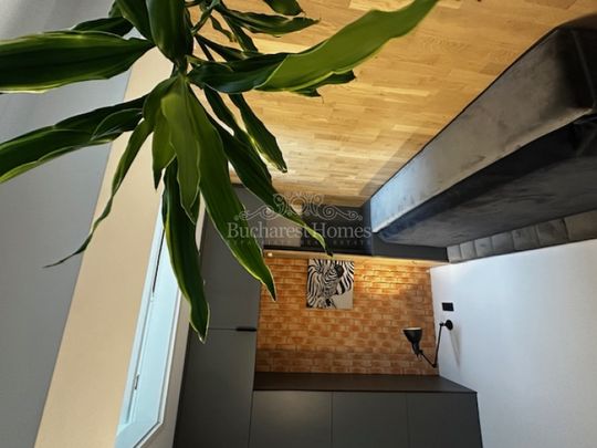 Contemporary Two Bedrooms with Terrace, Icoanei - Fotografie 1