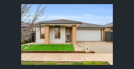 Modern Light-Filled Family Home in the Heart of Mt Atkinson Estate! - Photo 4