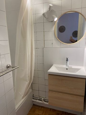 Location Appartement 1 pièce 20m² - Photo 5