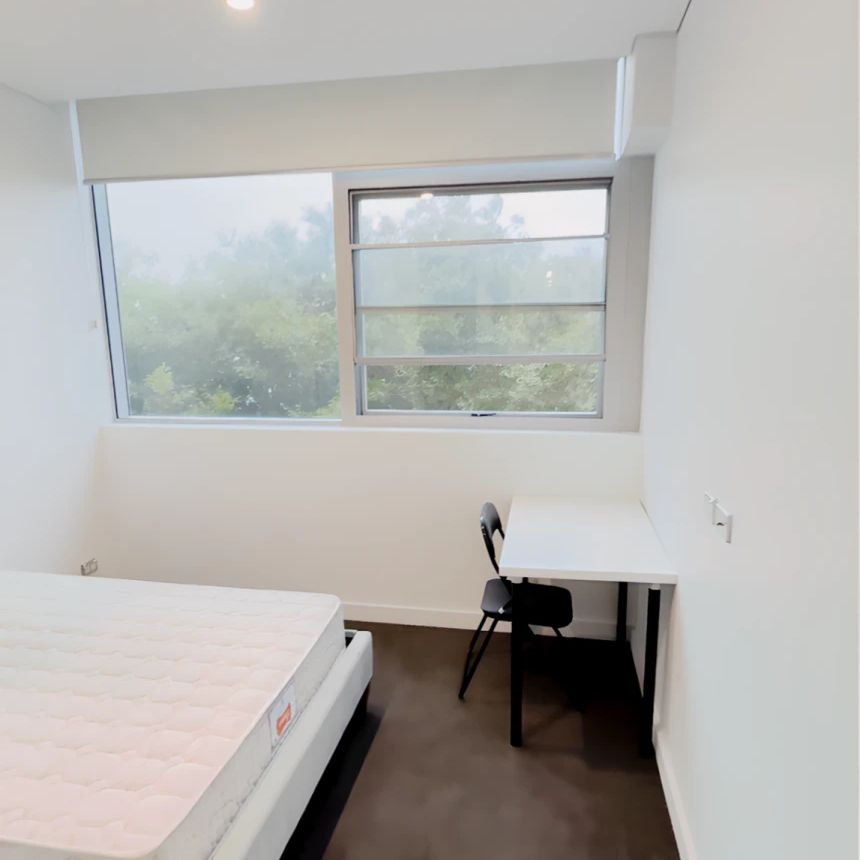 2 bed 2 bath-507 - Photo 1