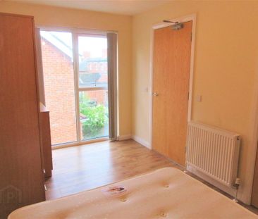 Great Apartment, 101b Rugby Avenue, Fitzwilliam Mews, Belfast, BT7 1QA - Photo 3