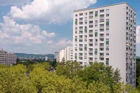 Große 2-Zimmerwohnung mit Balkon und Aufzug! - Foto 3