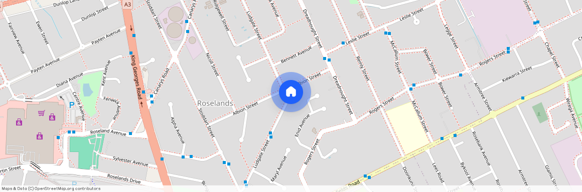 20 Albion Street, Roselands, NSW 2196