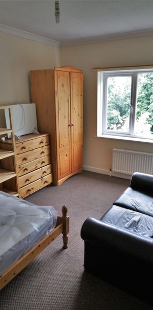 One-Bedroom House share - Photo 1