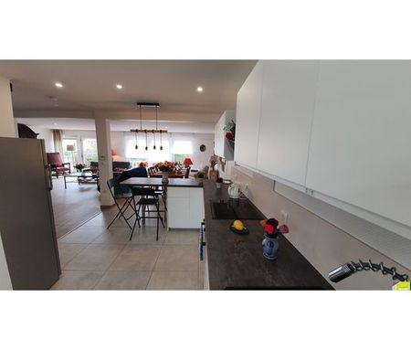 location Maison 7 pièces à Colmar - REF 2340 - IB - Photo 5