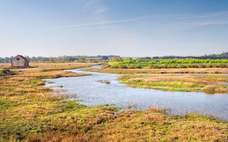 Thornham - Photo 3