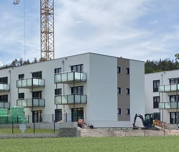 Hier ist das Glück zu Hause! Letzten zwei 2-Zimmer-Wohnungen in SC-Wolkersdorf zur Miete! - Photo 1