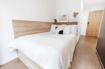 Bronze En Suite (Lower Floors) - Photo 3