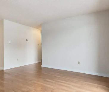 1 Bedroom - Photo 4