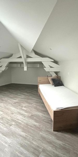 Location Appartement 1 pièce ST ETIENNE 42000 - Photo 1