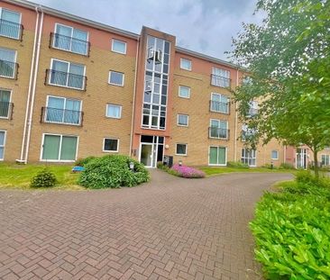 Avonmore Court, Walsall, WS2, Property for rent - Photo 4