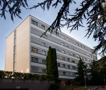 Chemin Petit-Montfleury 4 - Photo 2