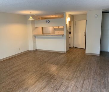 Centrally Located 1 Bedroom Condo In Downtown - Photo 3