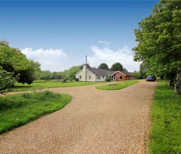 Blackwater Lane, Great Witchingham, Norwich, Norfolk, NR9 - Photo 1