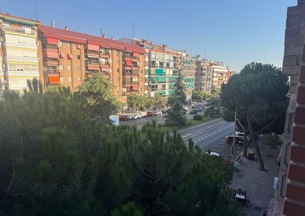 Puerto Rico, Canary Islands 35130