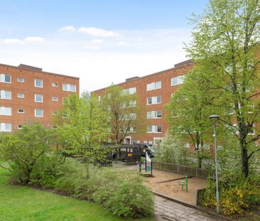 Lofotengatan, Kista - Foto 1