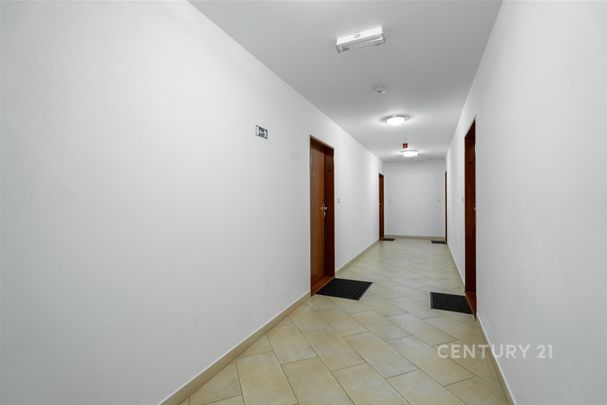 Pronájem bytu 1+kk a garsoniéry 40 m² - Photo 1
