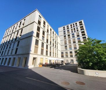 Appartement Fribourg - 1.5 pièces - Photo 3