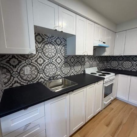 1 CH - 1 SDB - Montréal - $1,250 /mo - Photo 3