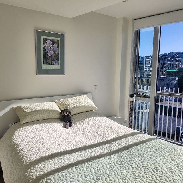 Immaculate furnished 13th floor 1BR apt + park - Photo 1